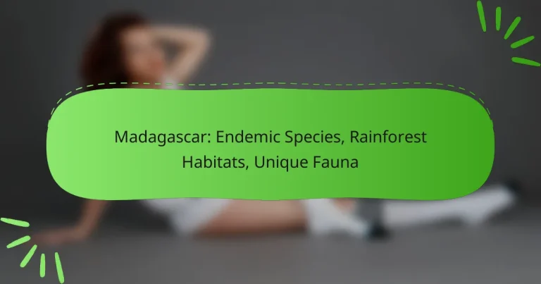 Madagascar: Endemic Species, Rainforest Habitats, Unique Fauna