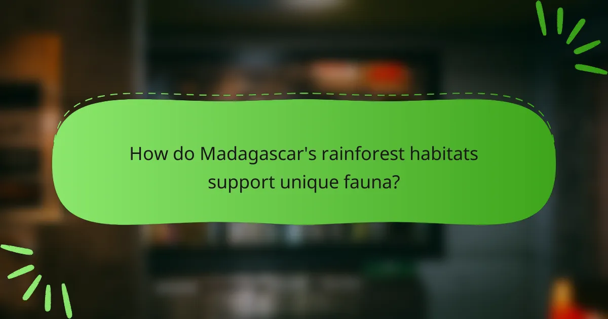How do Madagascar's rainforest habitats support unique fauna?