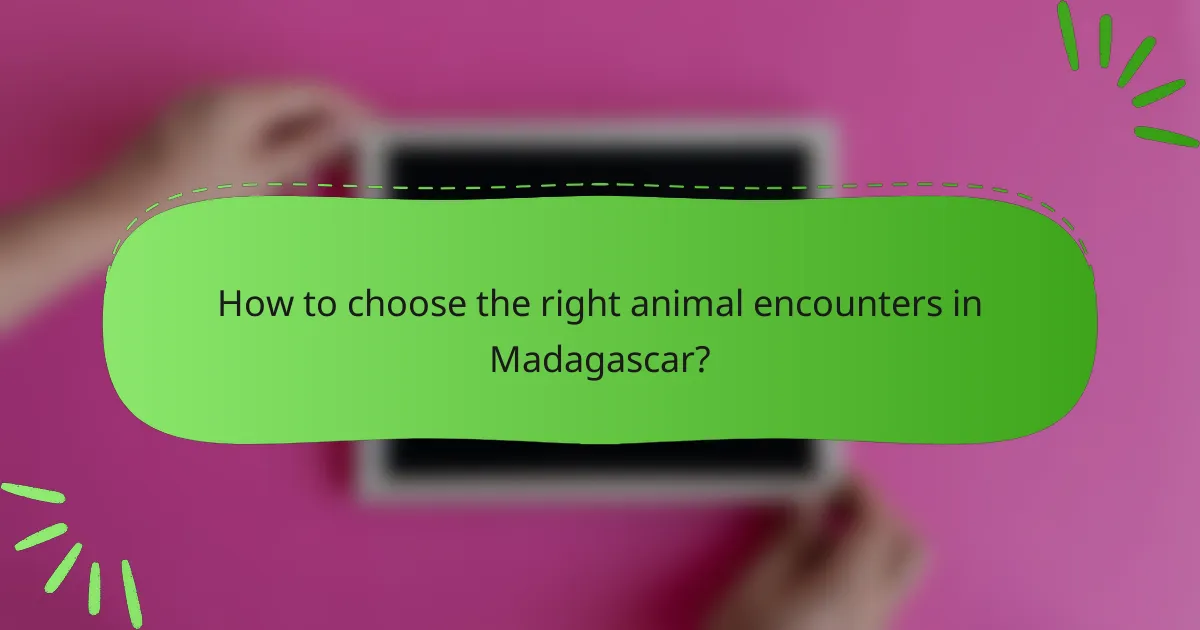 How to choose the right animal encounters in Madagascar?
