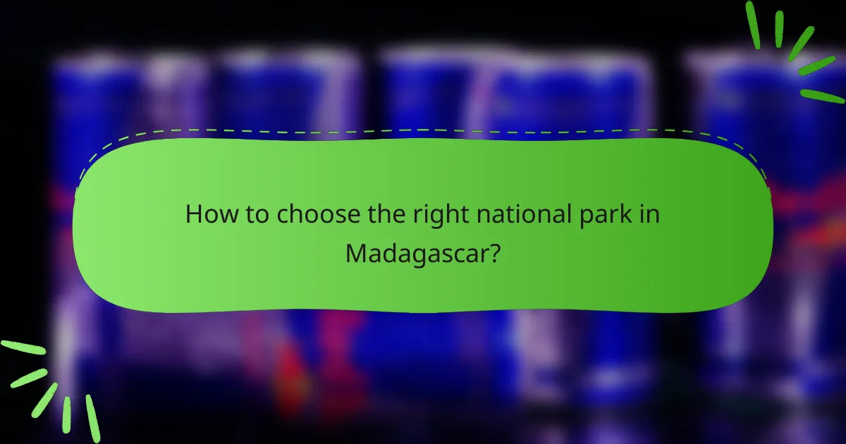 How to choose the right national park in Madagascar?