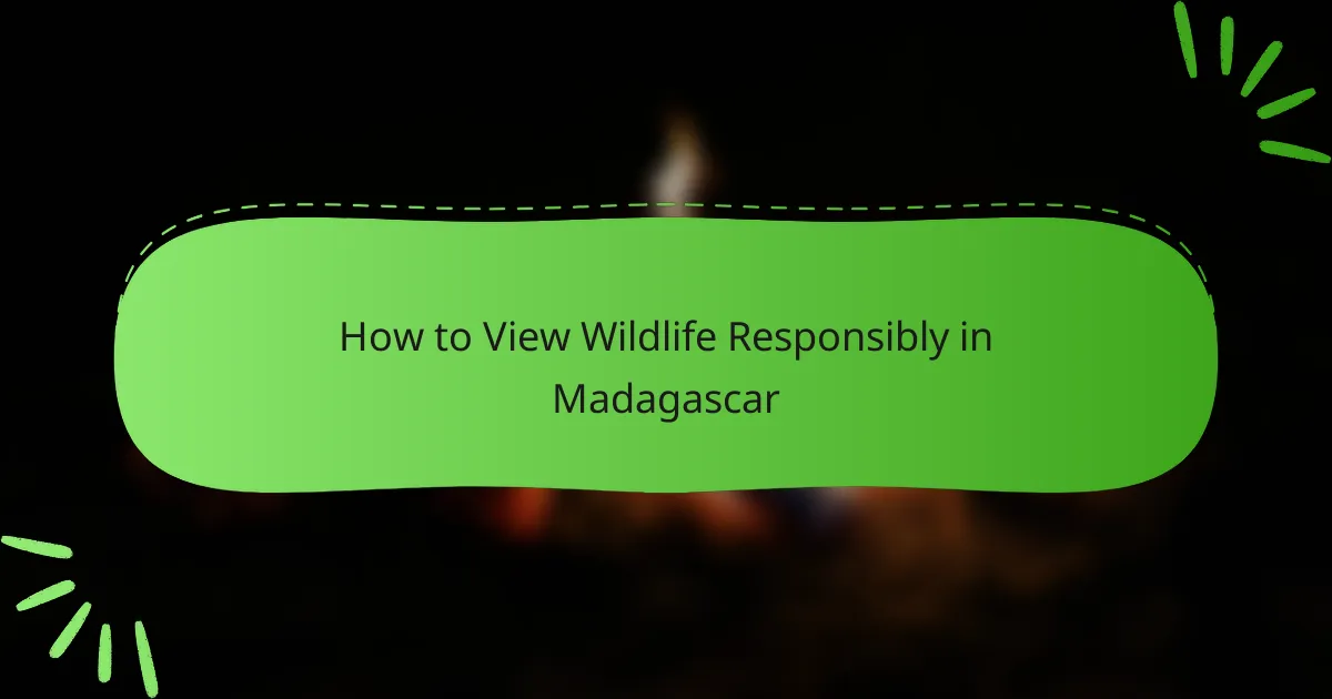 How to View Wildlife Responsibly in Madagascar