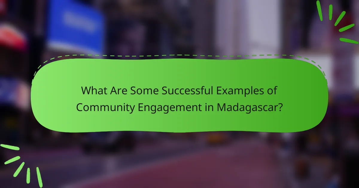 What Are Some Successful Examples of Community Engagement in Madagascar?