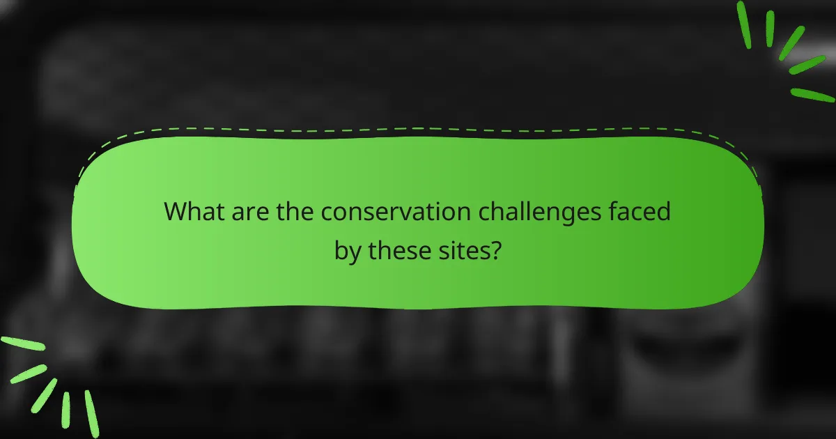 What are the conservation challenges faced by these sites?
