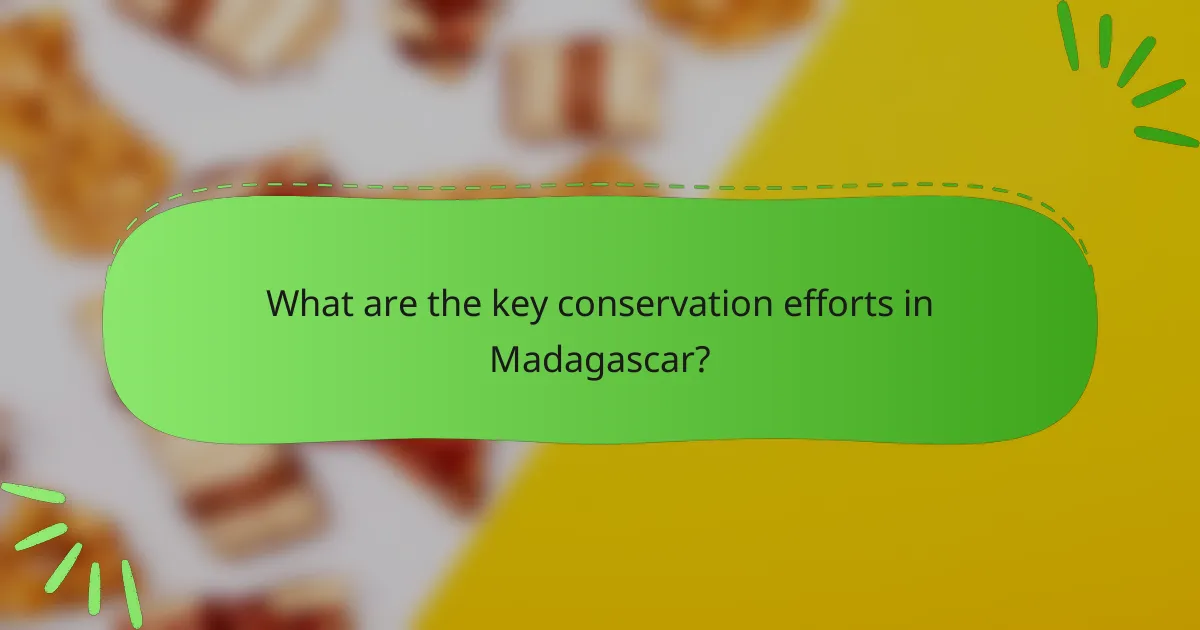 What are the key conservation efforts in Madagascar?