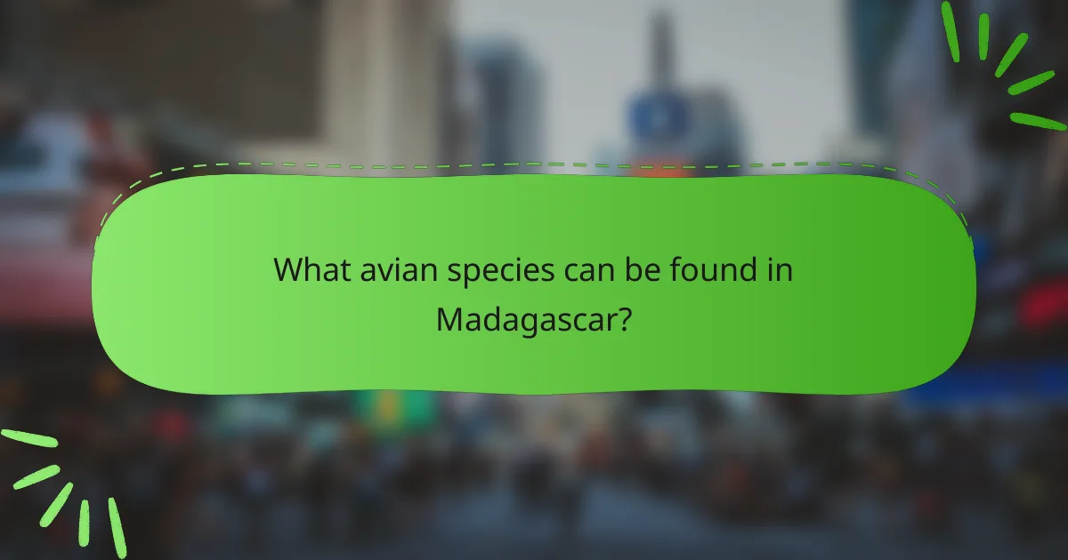 What avian species can be found in Madagascar?