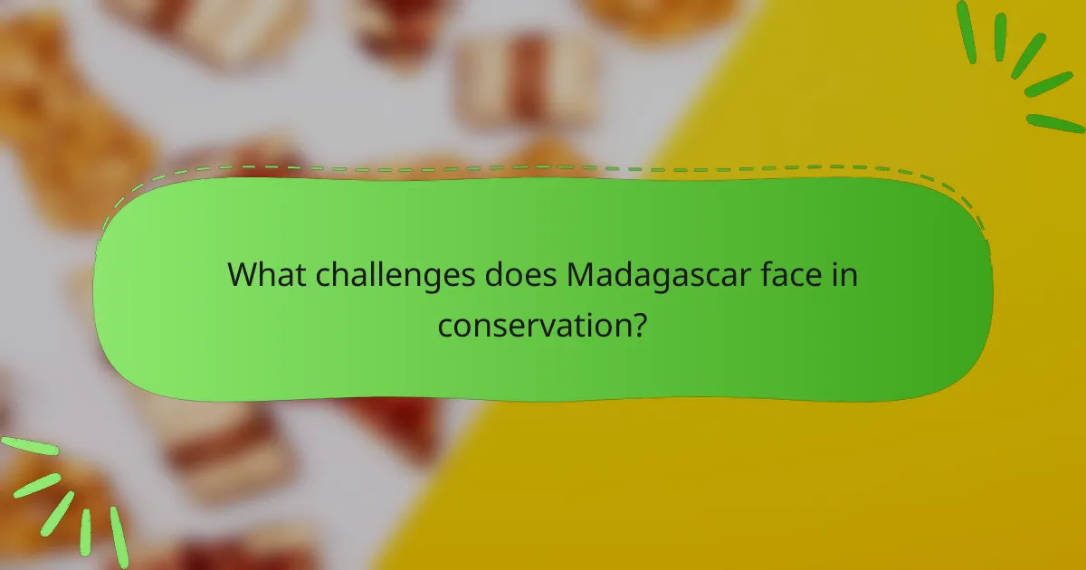 What challenges does Madagascar face in conservation?