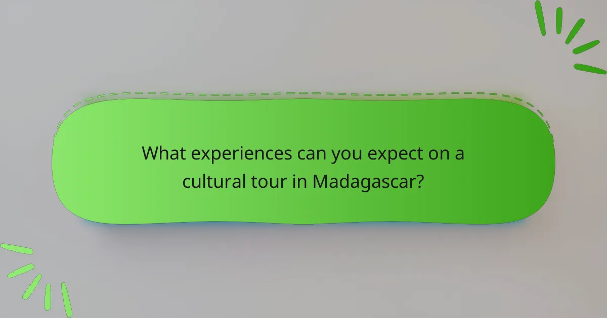 What experiences can you expect on a cultural tour in Madagascar?