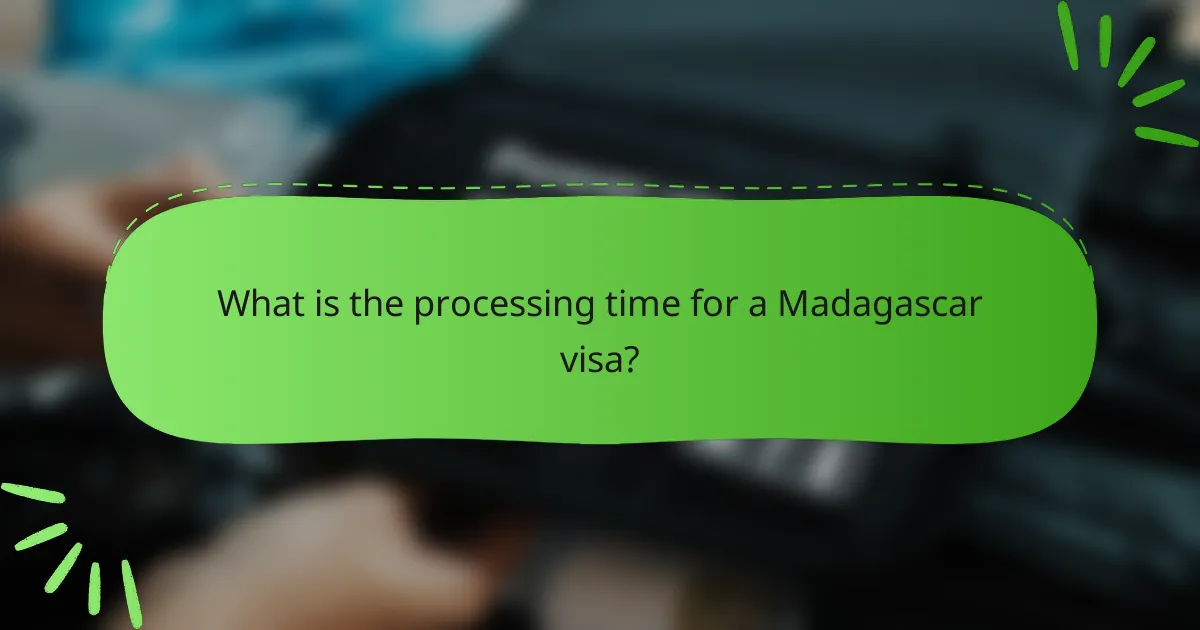 What is the processing time for a Madagascar visa?
