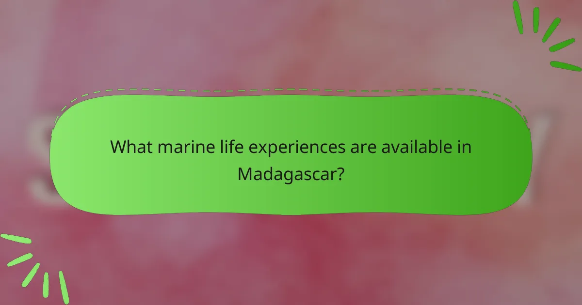 What marine life experiences are available in Madagascar?