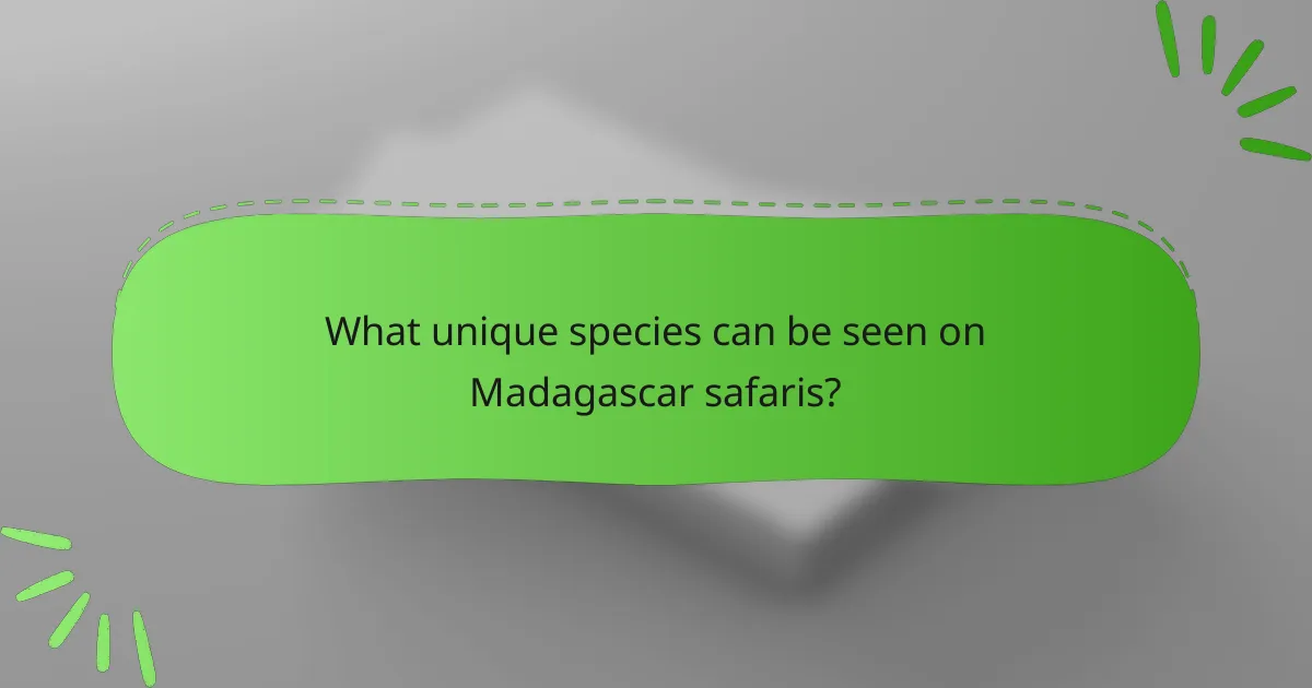 What unique species can be seen on Madagascar safaris?